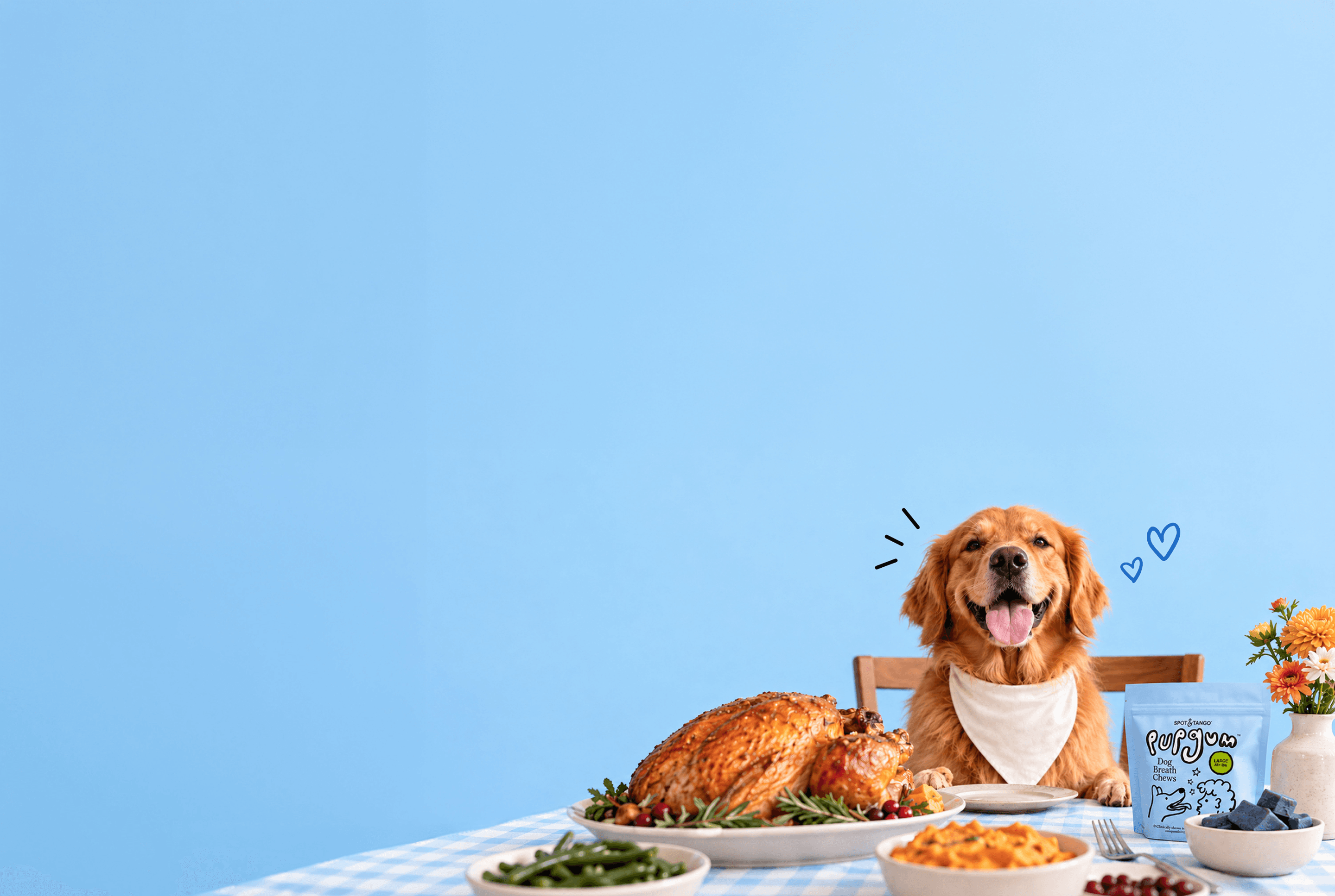 Golden retriever in a bandana at a Thanksgiving table with turkey, sides, and a bag of PupGum